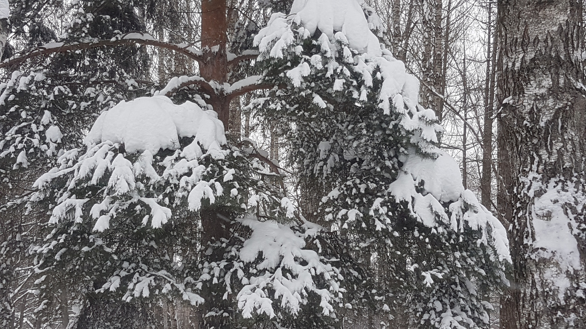 Фото автора канала 