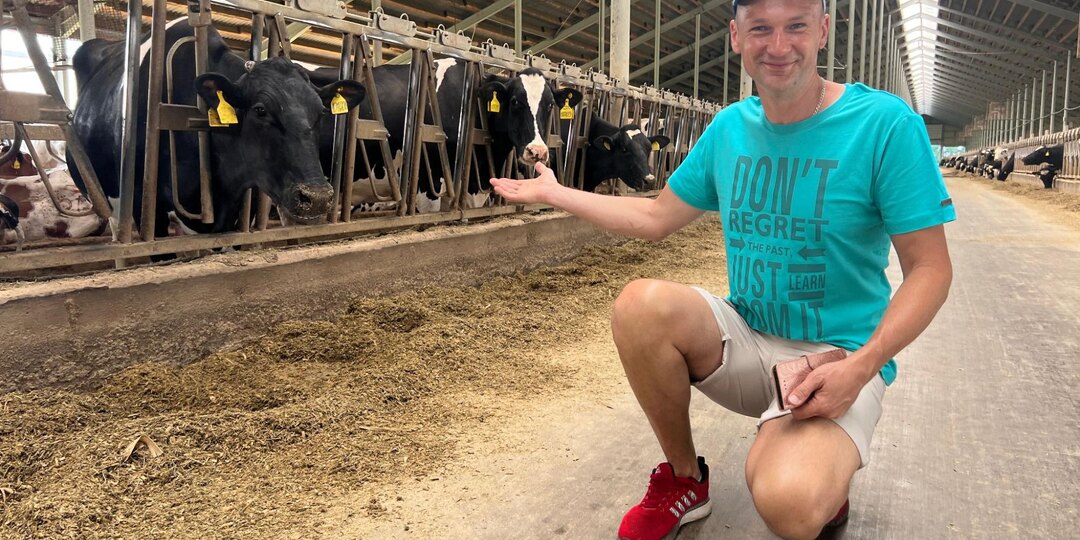 Коров в полях не видим, а молока в магазинах полно: Узнал, почему так