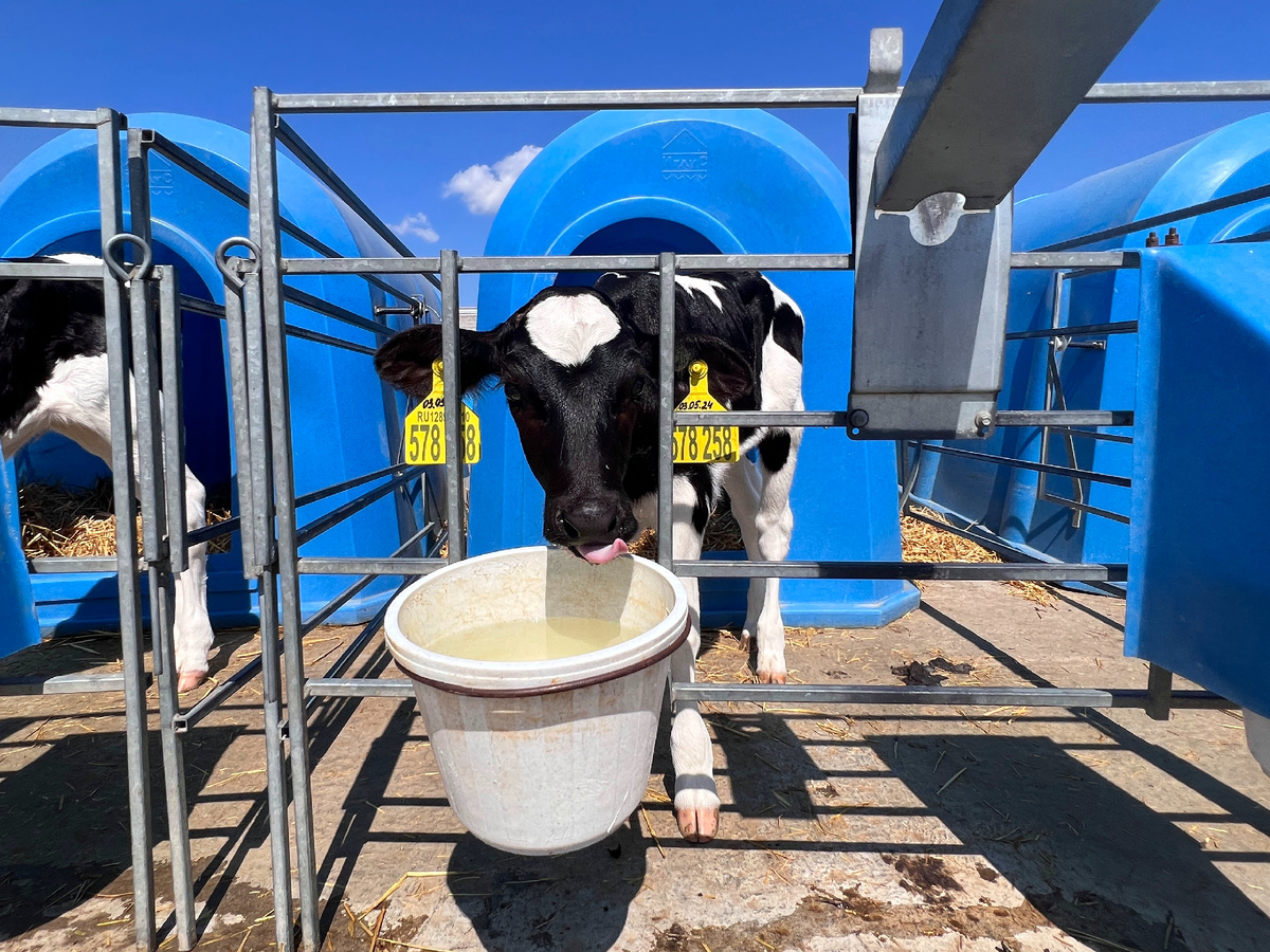 Все фото: канал Зоркий 