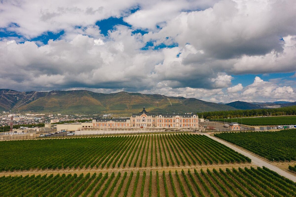 Винодельня Шато де Талю в Геленджике