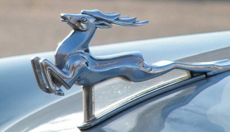    Олень на ГАЗ-21 «Волга» Фото: я. Собственная работа, по лицензии CC BY-SA 1.0