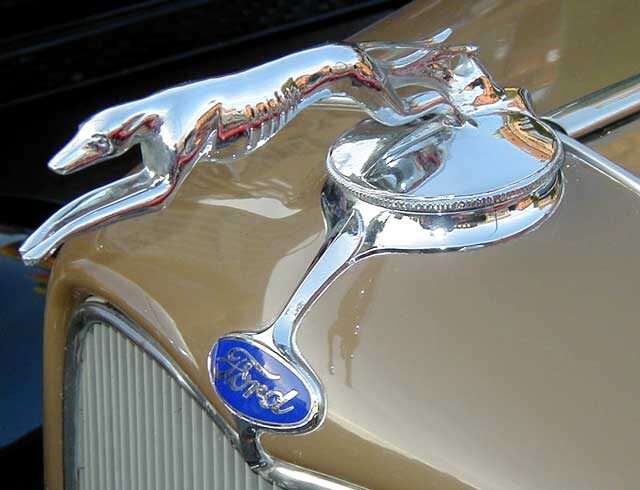    Гончая собака на Ford Model 48 Фото: Anders Jensen, общественное достояние