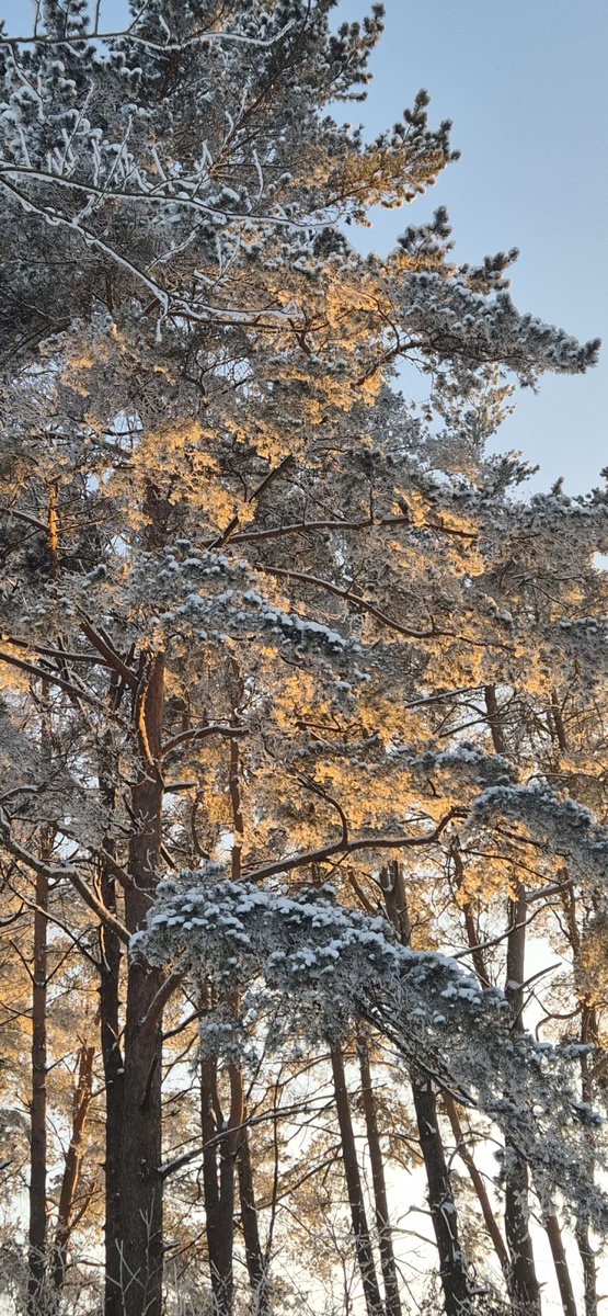 Из личного архива!