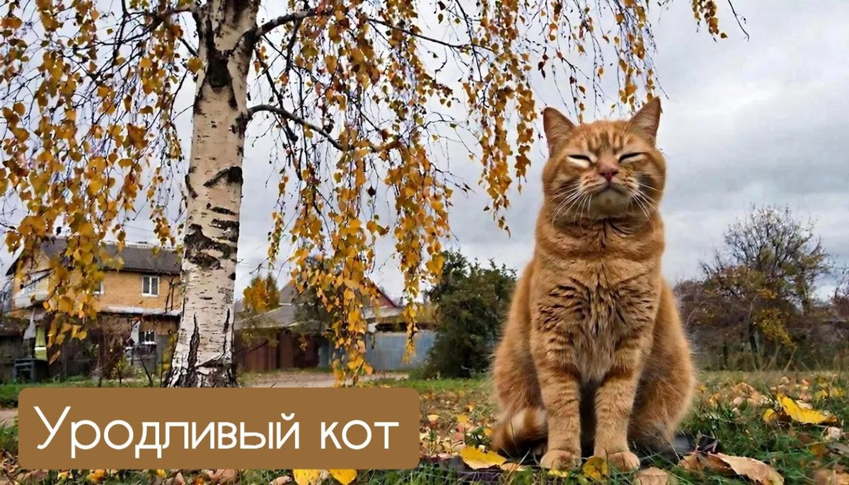 Важно ценить любовь тех кто рядом, внешность не главное, ценнее то, что внутри.