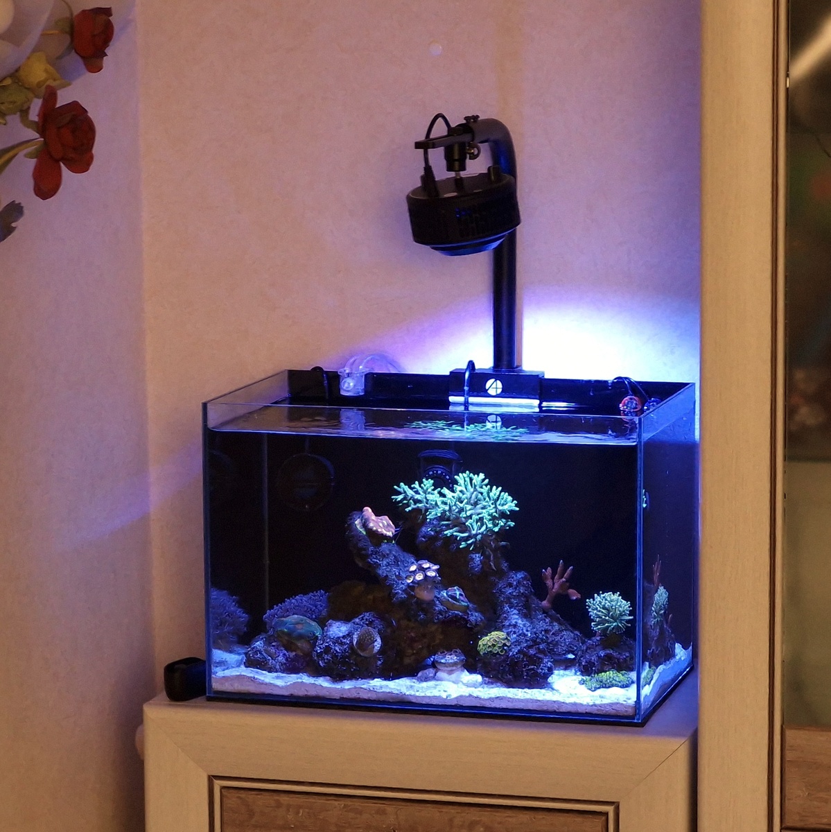 Мой эксперементальный аквариум (без сампа) со светом A+ A7