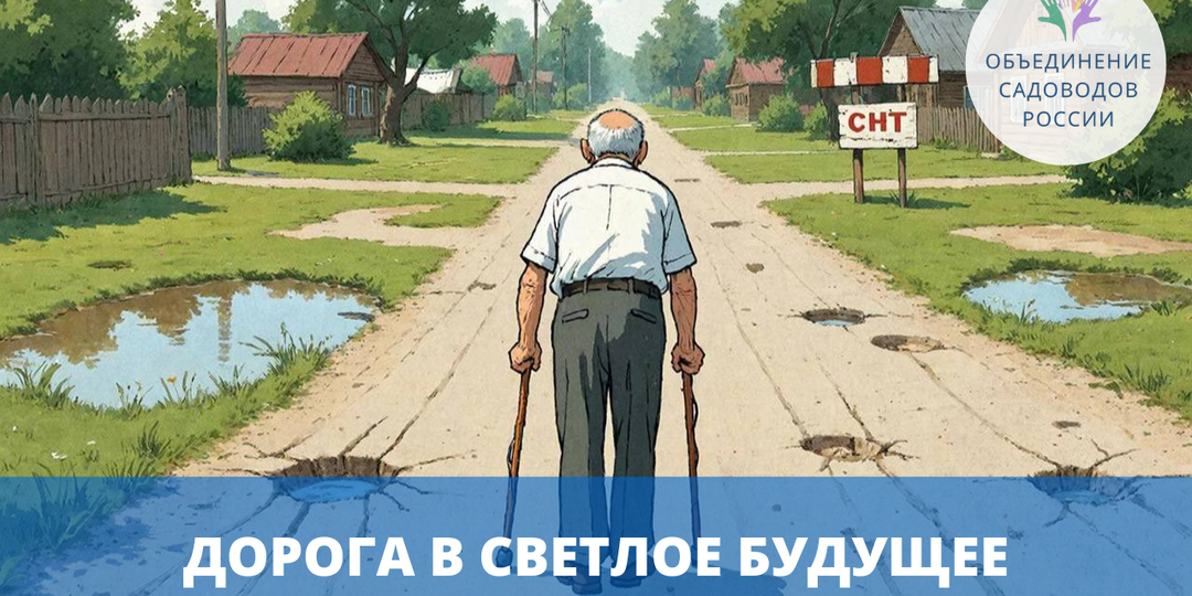 Судебный спор о подъездной дороге: как Верховный Суд защитил права садоводов