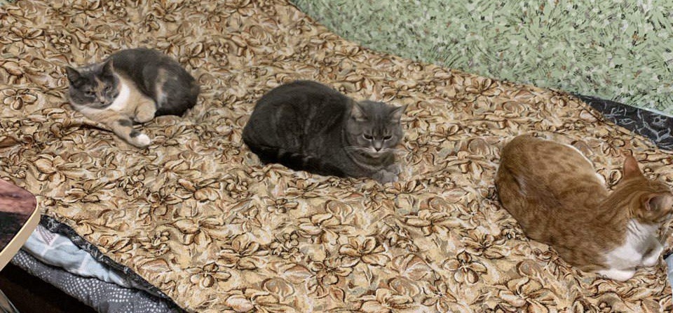 Русско-турецкая дружба 😁