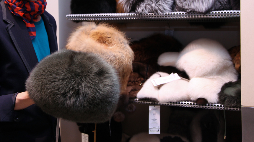    Фото: © РИА Новости/Екатерина Чеснокова