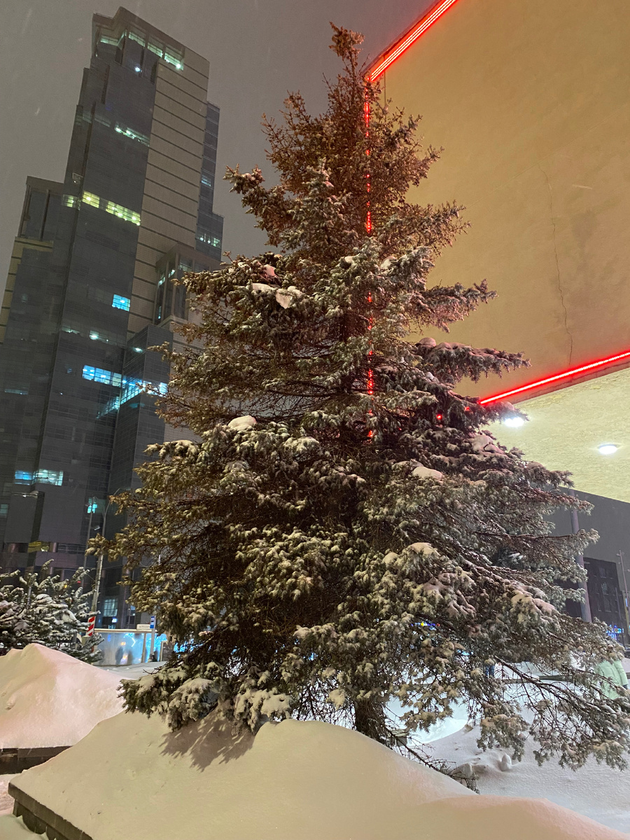 Город засыпало снегом.