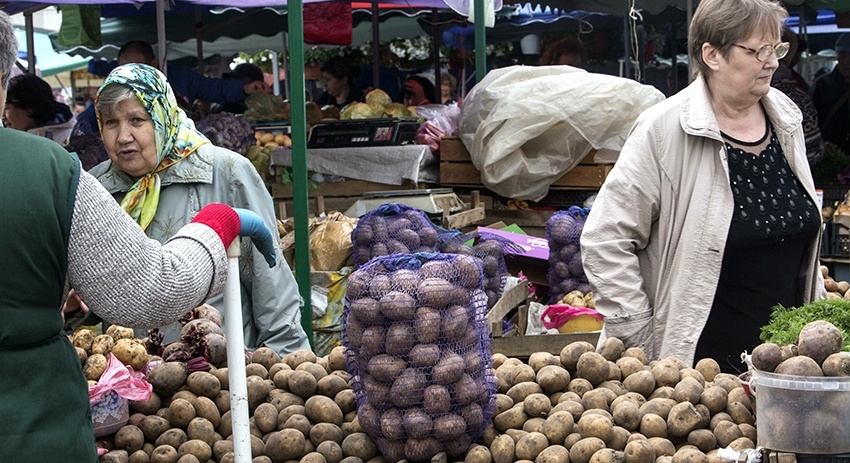    Nikolay Gyngazov/Global Look Press