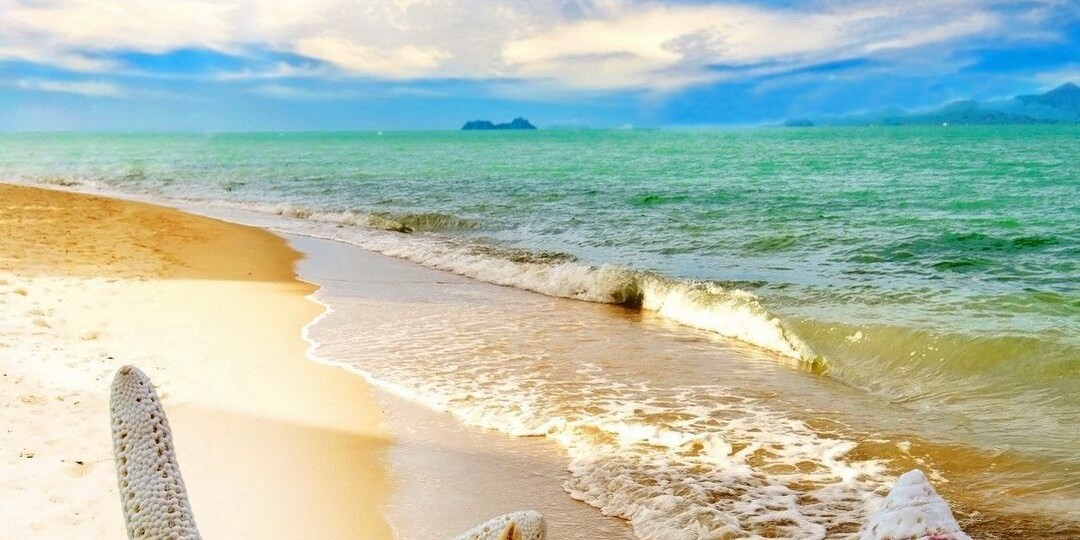 Важен результат.