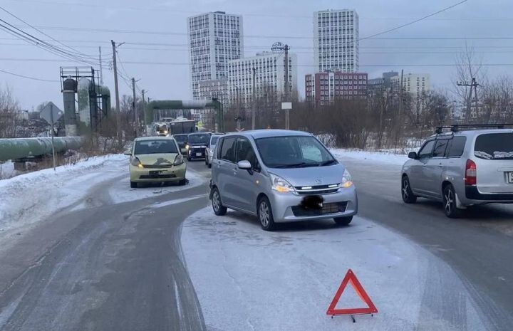    Фото:телеграм-канад Госавтоинспекции Хабаровска