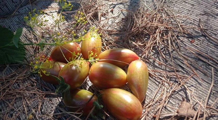 Конфеты Сладкие сосульки