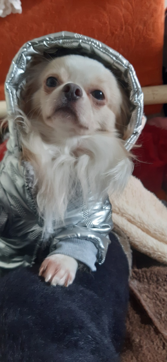 Когда холодно, Микки серьёзен.