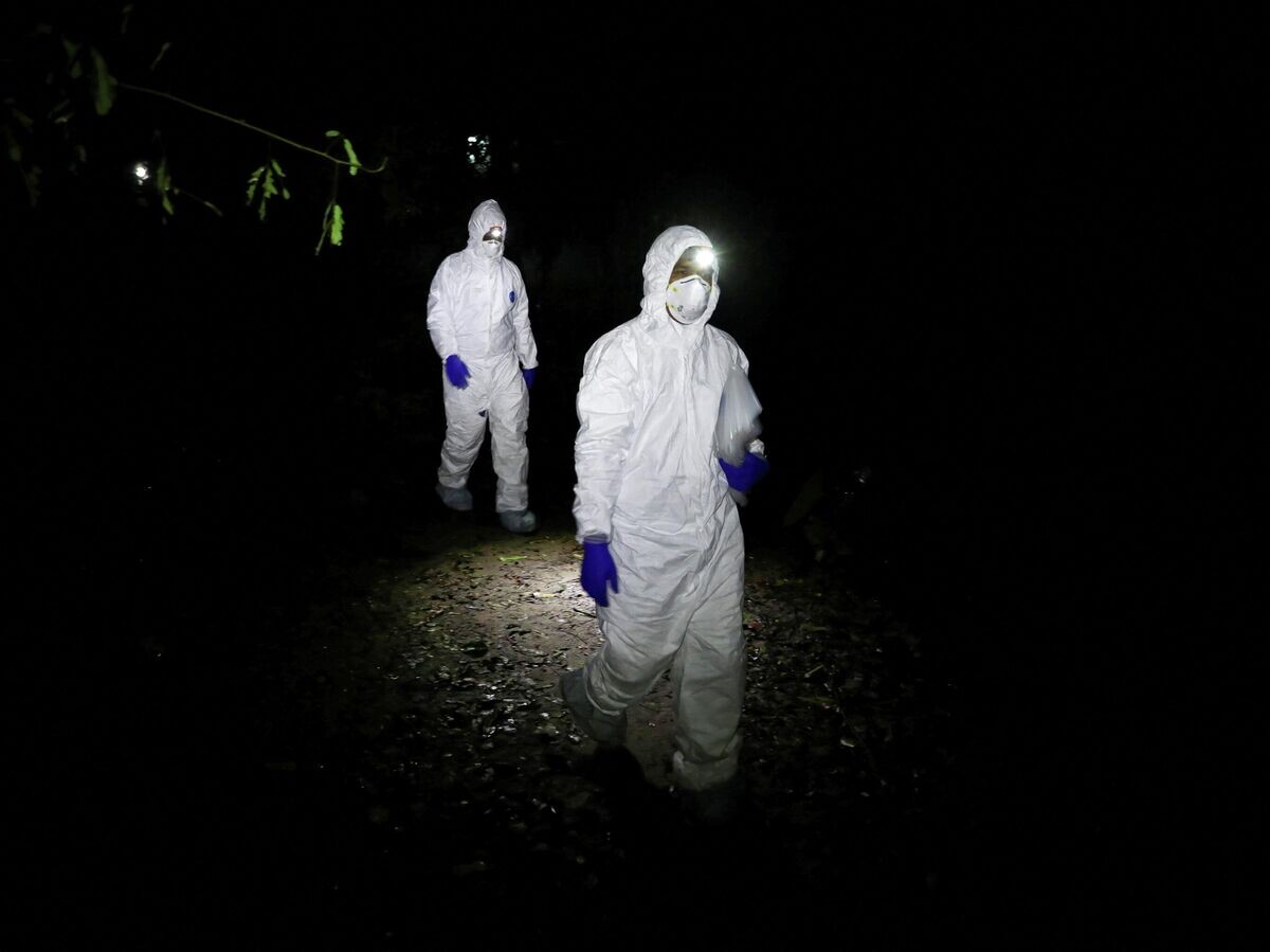    Лаборанты полевой лаборатории в защитных костюмах во время исследования вируса Нипах | © REUTERS / Mohammad Ponir Hossain