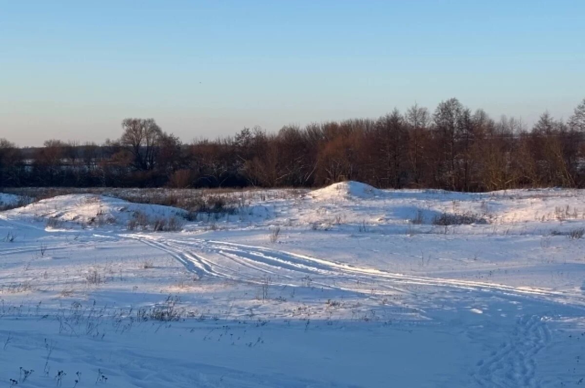    В Алтайском крае 29 января ожидается мороз до -14 градусов
