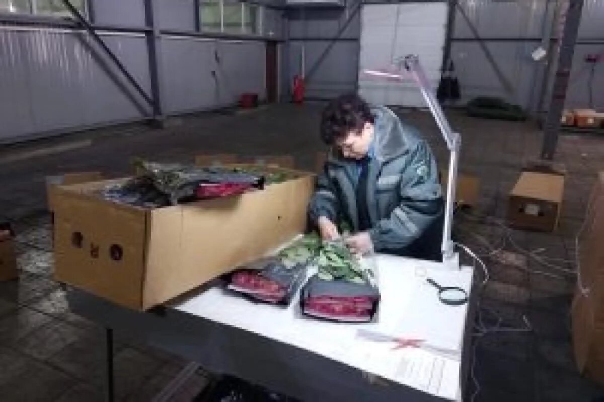    Россельхознадзор Приморья остановил ввоз 62 тысяч заражённых цветов из КНР