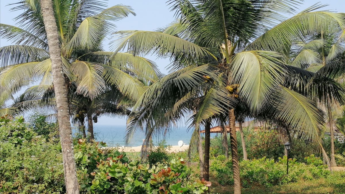 Вид на море по дороге из отеля