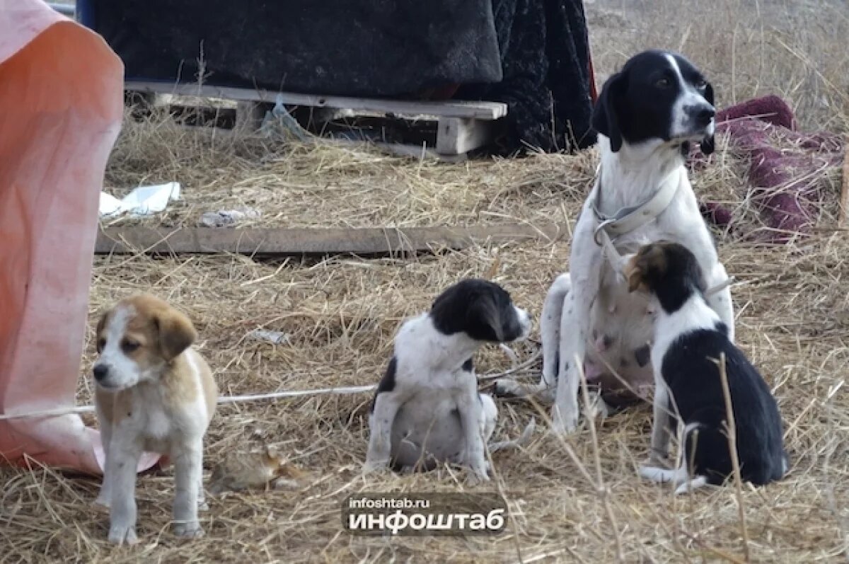    Невидимый убийца.