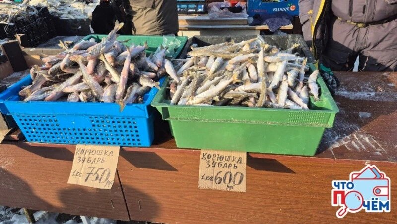      Фото: Елизавета Шманько / Sakh.online