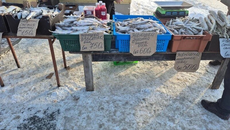    рыбный прайс: сколько стоит свежая рыба на Сахалине в 2026 году Фото: Елизавета Шманько / Sakh.online