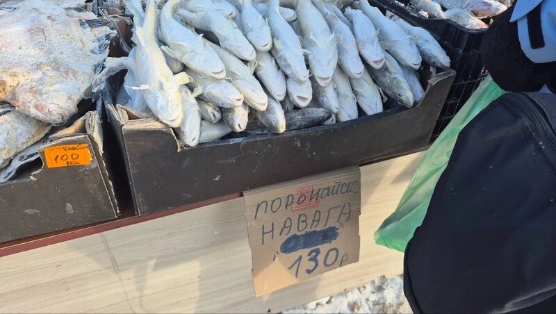    рыбный прайс: сколько стоит свежая рыба на Сахалине в 2026 году Фото: Елизавета Шманько / Sakh.online