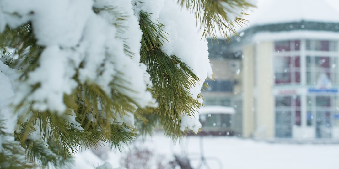 Артроз — основные причины, симптомы, лечение в санатории