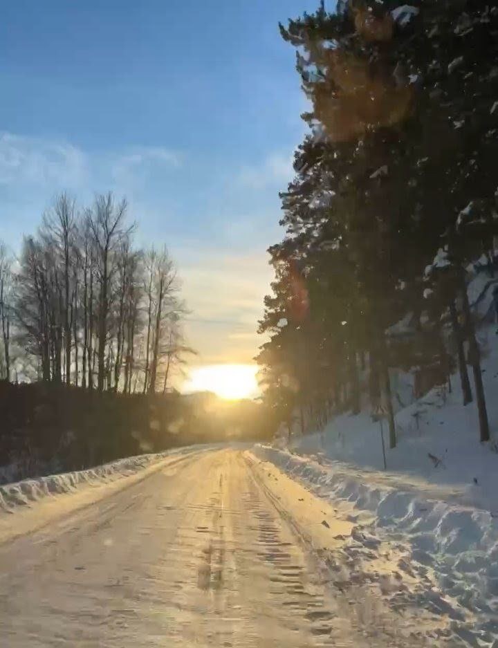 Фото автора.