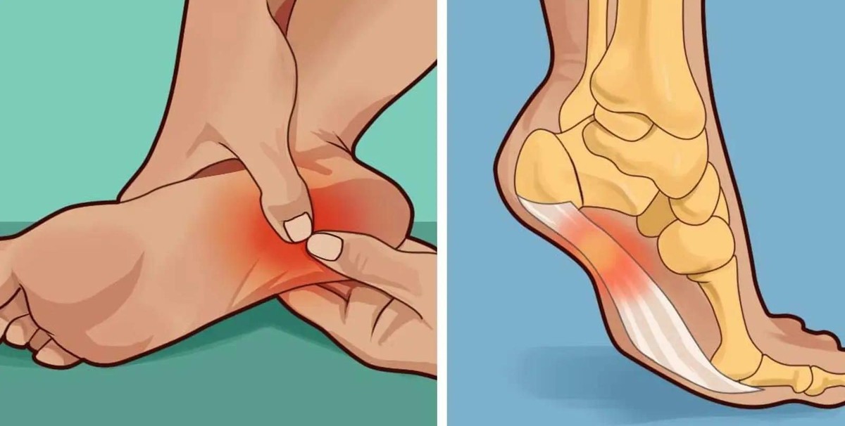 Изображение взято из открытого источника