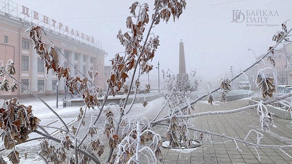 Фото из свбодных источников