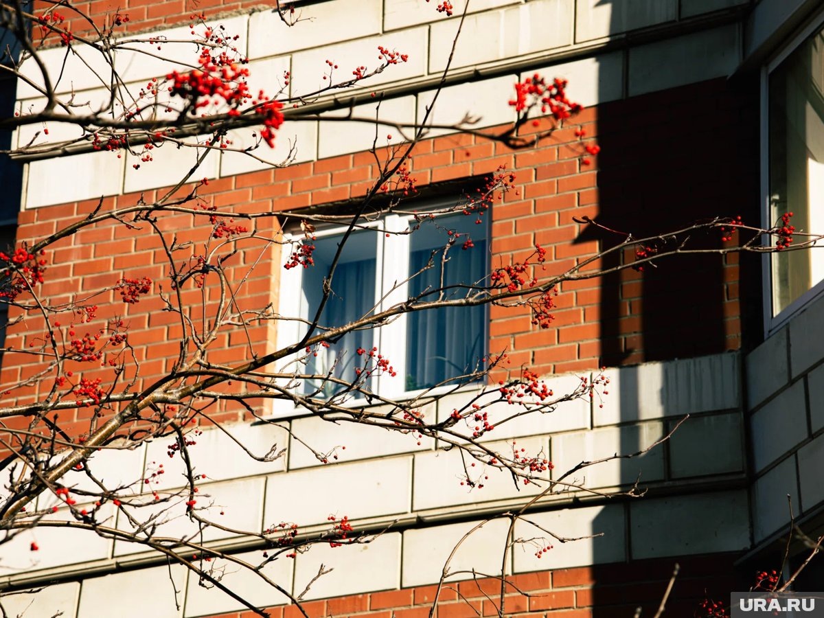    Клишина сообщила, что лишилась единственной регистрации