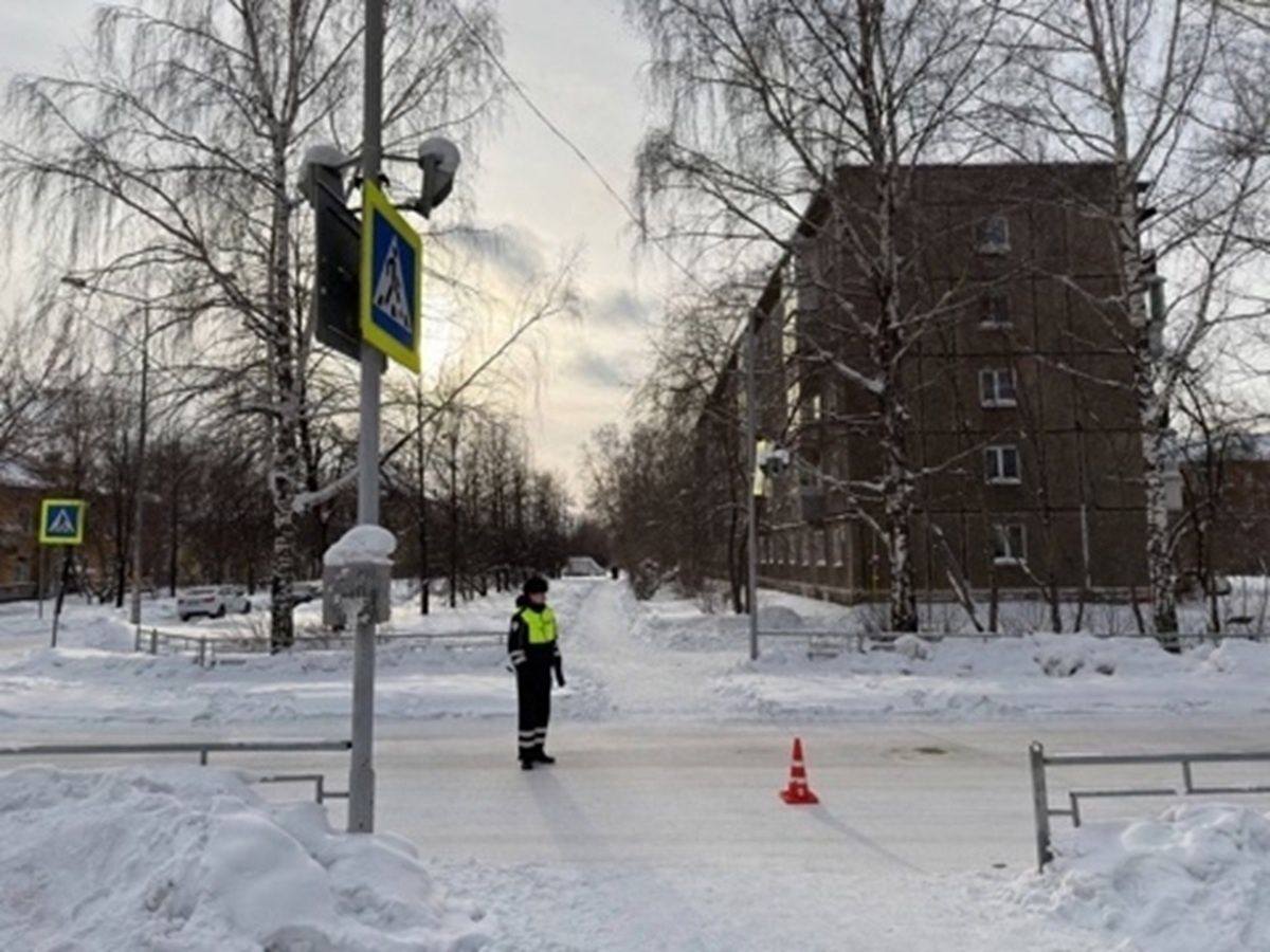 Фото: Госавтоинспекция Свердловской области  📷
