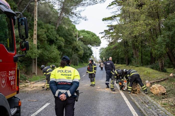 Обложка © X / Lisboa