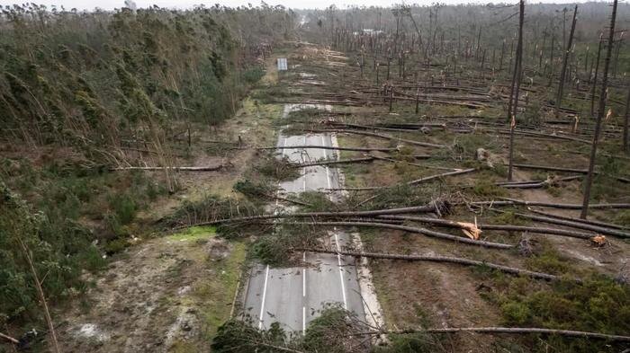 Последствия шторма. Фото © X / Pedro Pereira