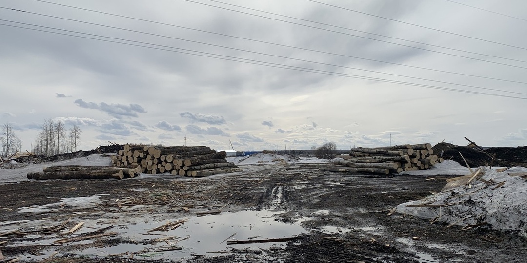 Бизнесмен из Приангарья заплатит 53 млн за вывезенный лес