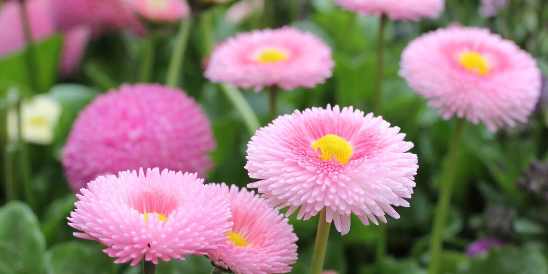 Еще не все потеряно