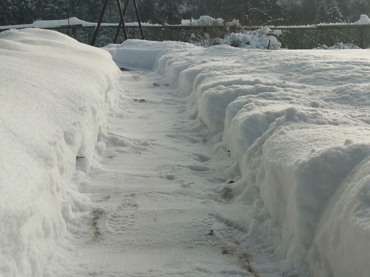 Мои тропинки