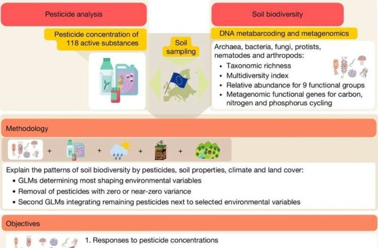    Фото: Nature (2026). DOI: 10.1038/s41586-025-09991-z