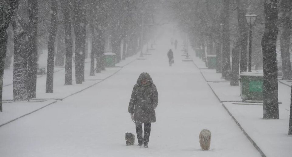    РИА «Новости»