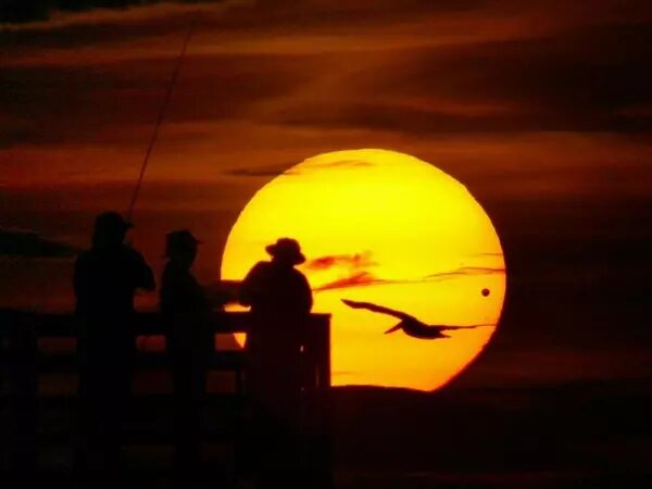    Фото: Лаборатория солнечной астрономии Веселовские вести