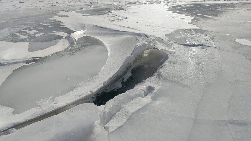    фото: Царьград