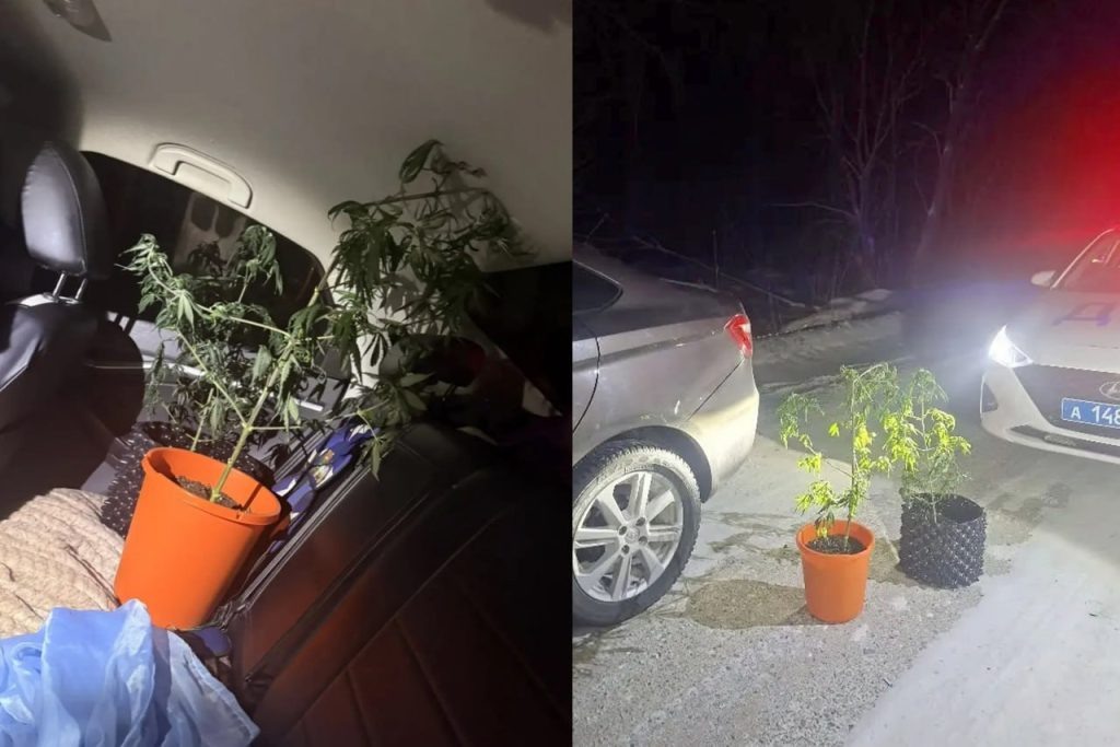    Фото: МВД Хакасии Kristina