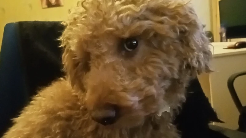 Румпель: - Улыбаемся и машем?