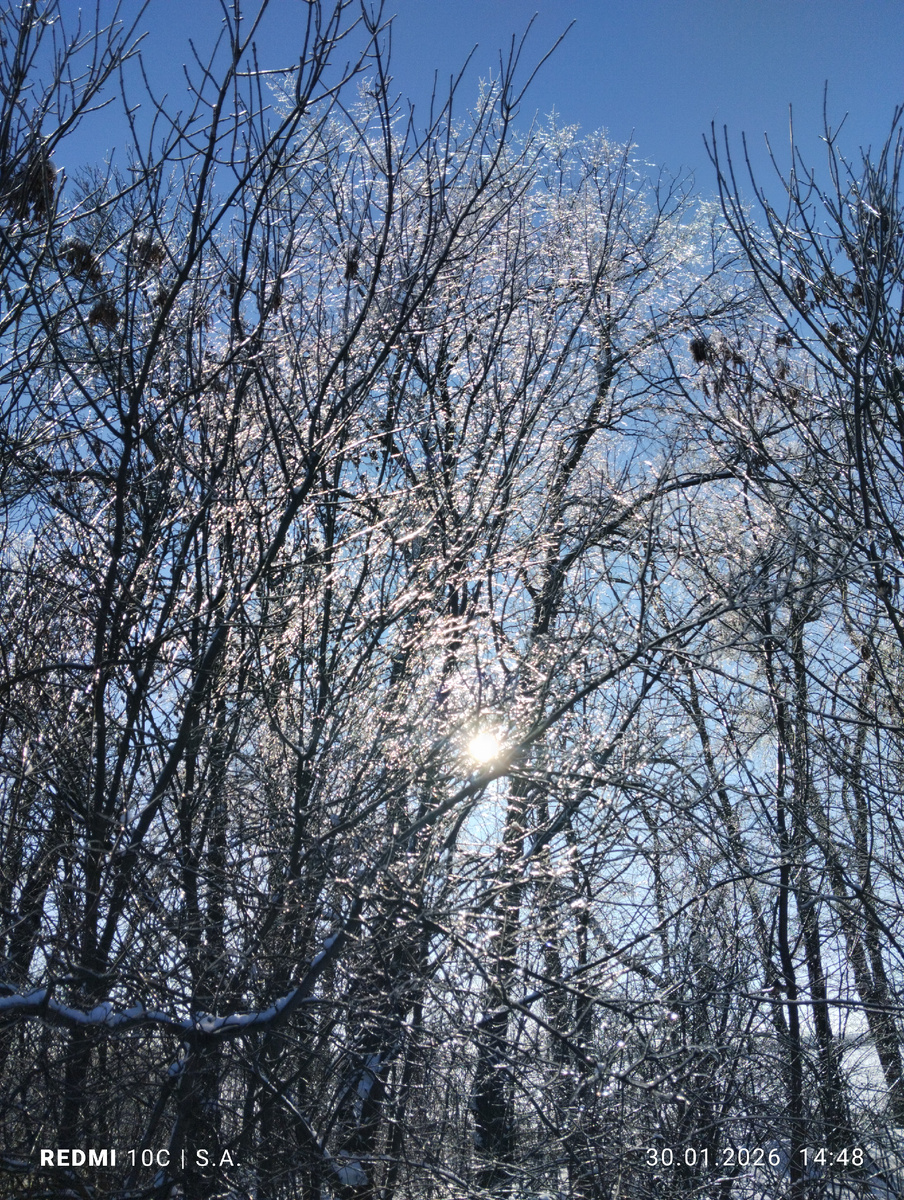 Фото:@Сафия Лисовская 