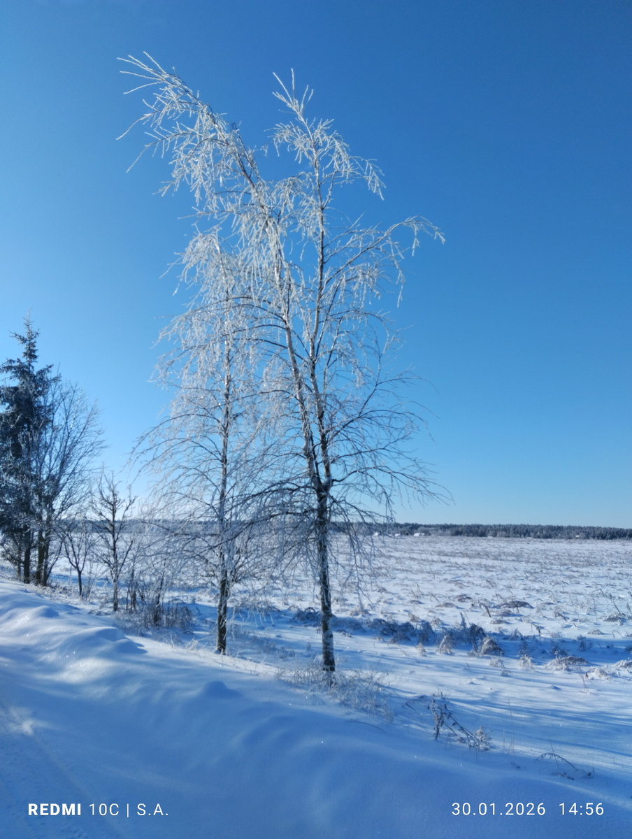 Фото:@Сафия Лисовская 