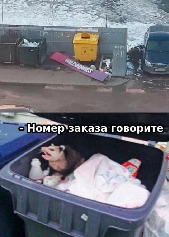 Смех из социальных сетей! Забавные шутки, забавные случаи и веселые рассказы. Фото взято из общедоступных ресурсов соцсетей.