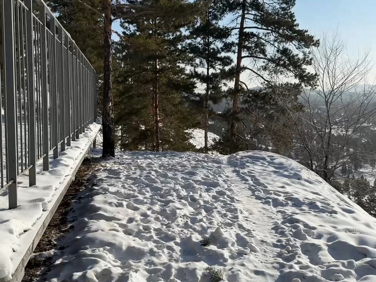     Фото: МБУ "Городское лесничество"