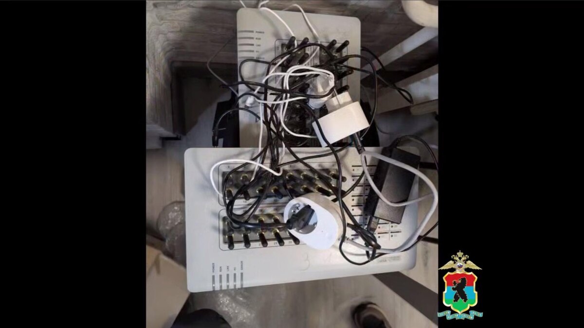    Фото: t.me/mediamvd