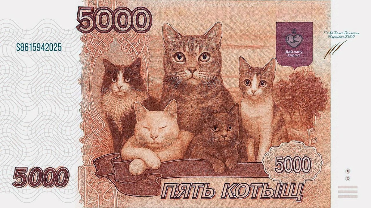    Котыщи за доброту