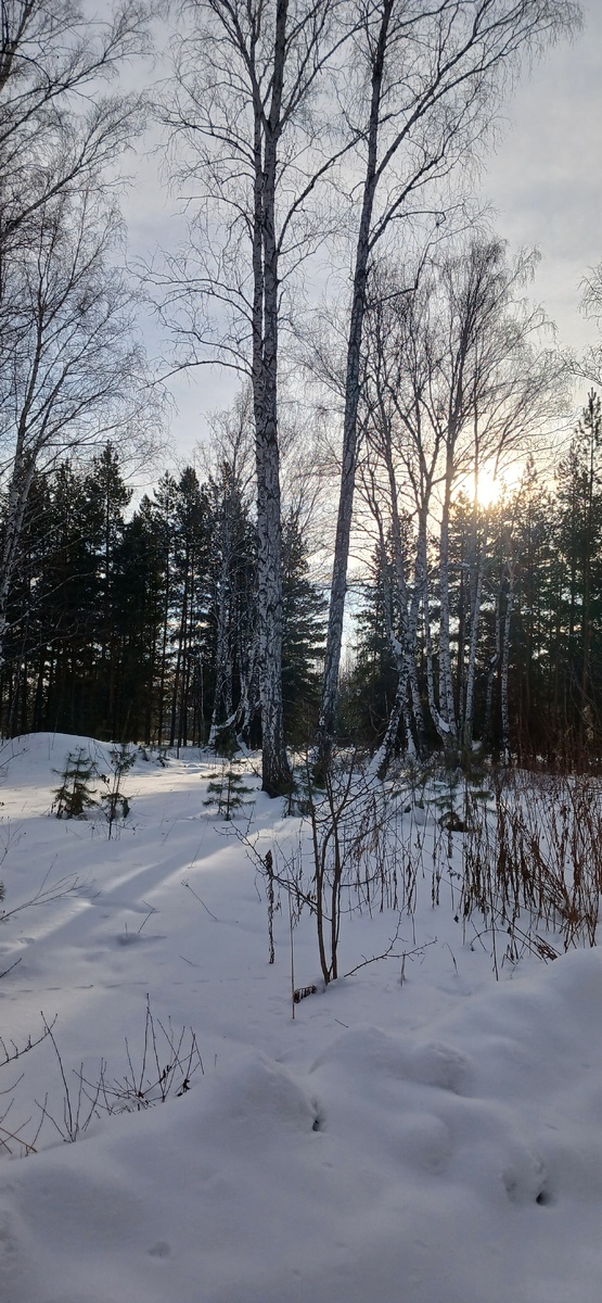 "Доброе утро, мир! Ты прекрасен!" Фото автора